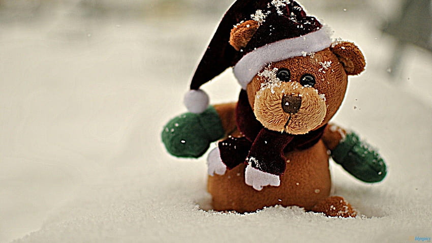 Cute Teddy Bear Love You With Flowers, winter bear love HD wallpaper