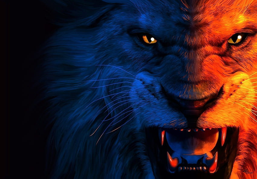Angry Lion HD wallpaper