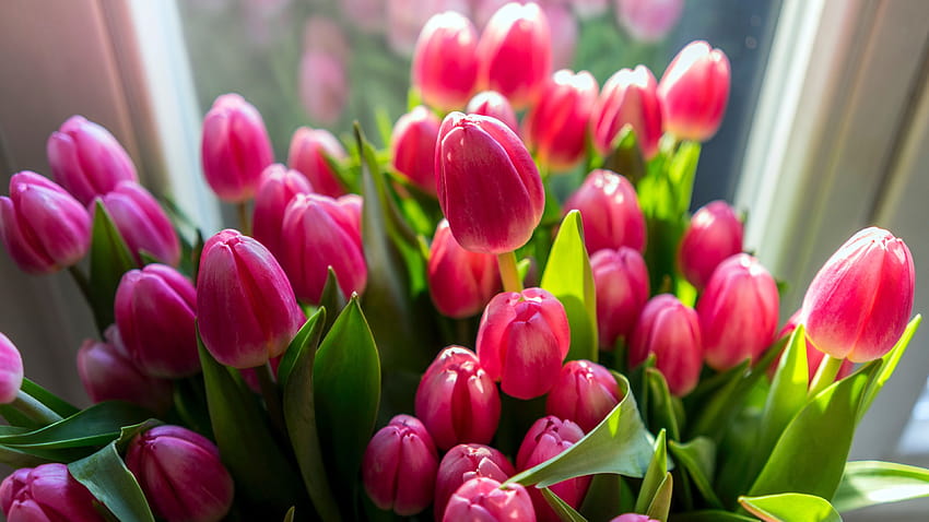 Bouquet Roses Tulips Closed Flowers Spring Flowers, bouquet of spring flowers HD wallpaper