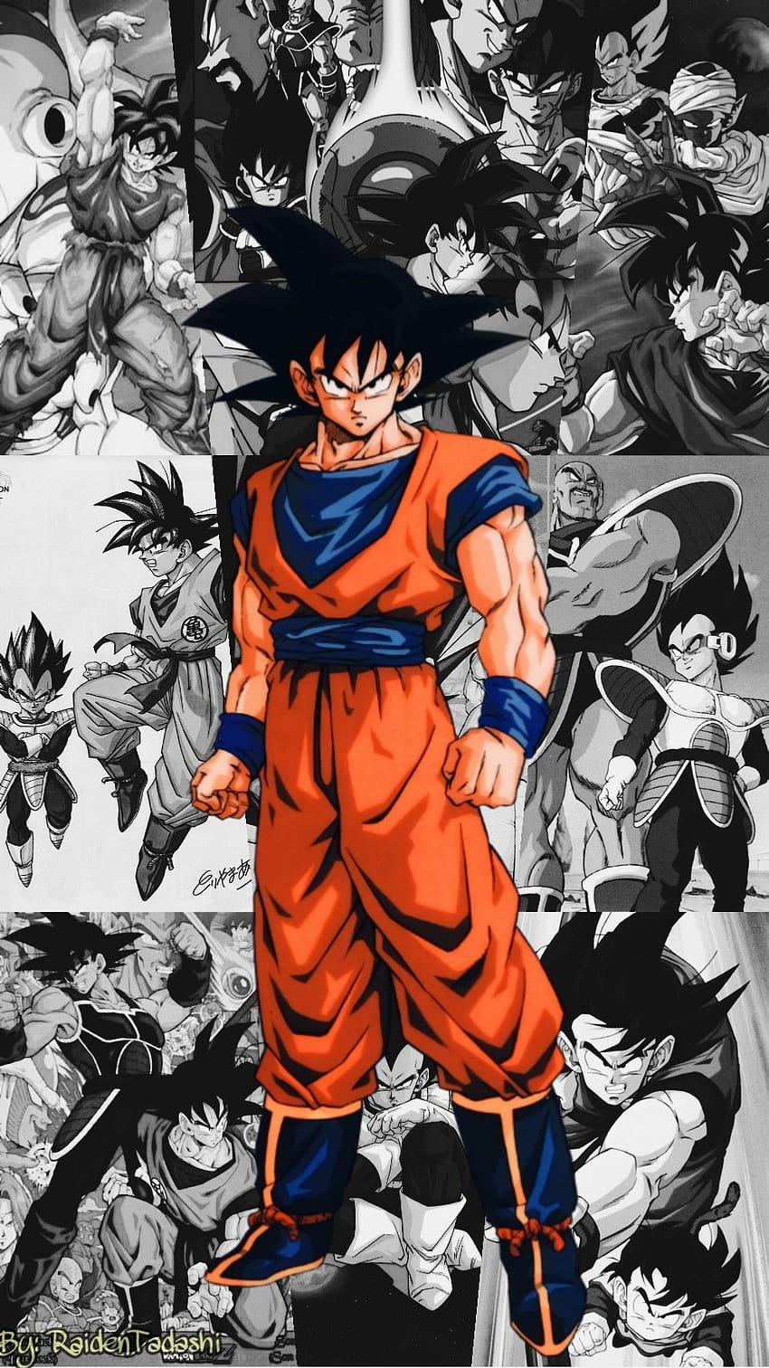 Son Goku And Dragon Ball Manga Comics in 2021, dbz manga HD phone wallpaper