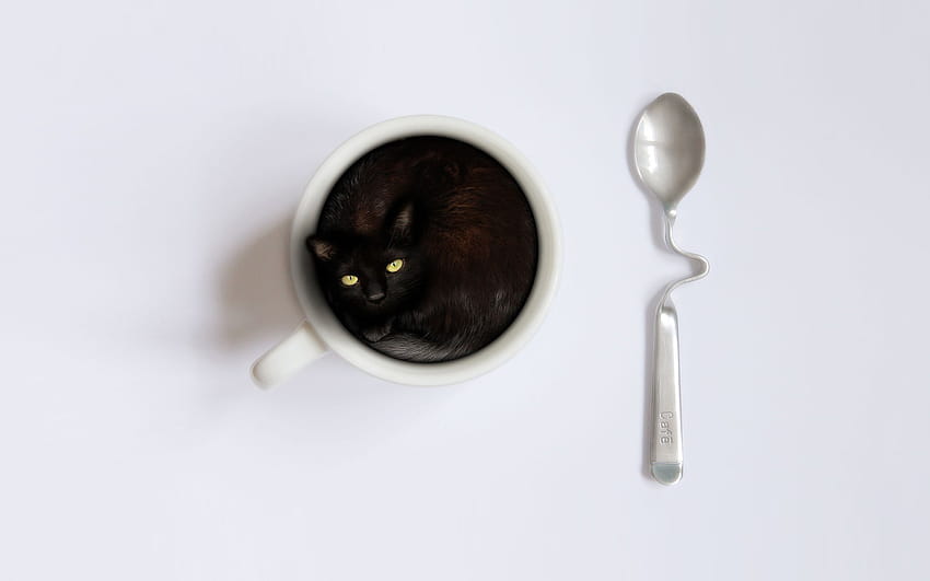 : cat, animals, spoon, cup, spoons, silver, cutlery, hand, material, jewellery 1920x1200 HD wallpaper