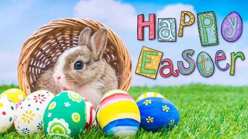 Buona Pasqua 2020, divertenti uova di Pasqua e coniglietto Sfondo HD