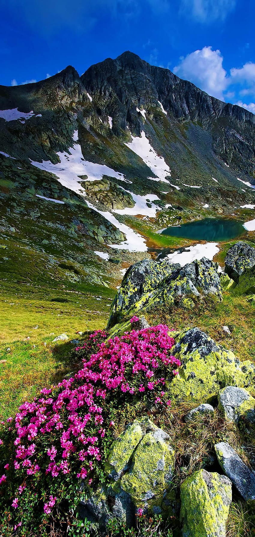 Discover Amazing Romania through 44 Spectacular AmonGraf, retezat national park HD phone wallpaper