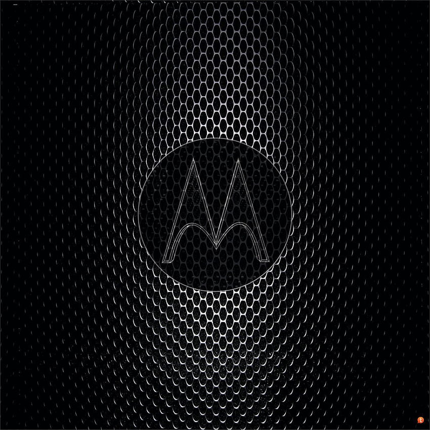 Motorola en perro, logotipo de moto fondo de pantalla del teléfono