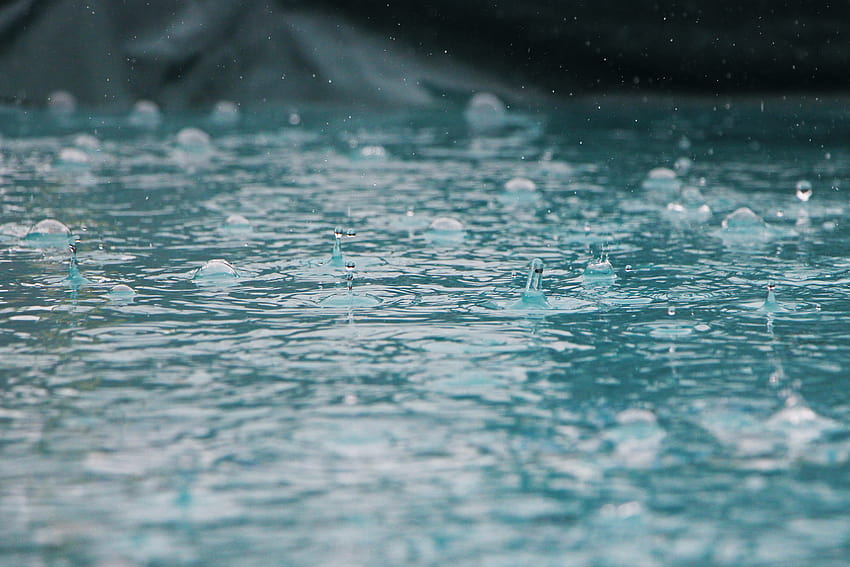Drip rain drop water wet nature HD wallpaper