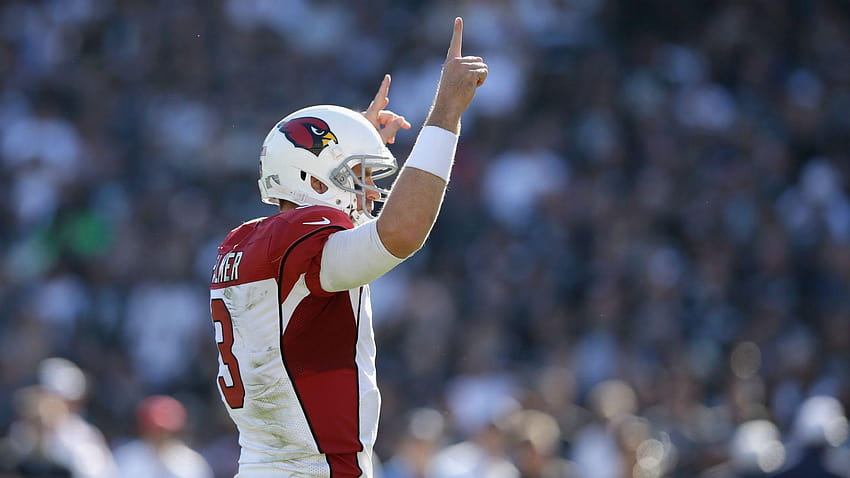 Carson Palmer taking on Bengals amid strong emotions: 'He quit on HD wallpaper