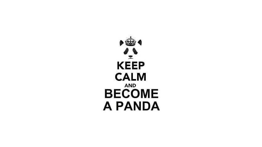 Keep calm and panda bears simple backgrounds text, panda with guns HD wallpaper