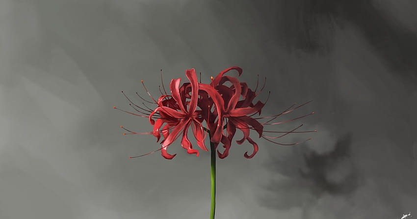 Red Spider Lily Theme - Ứng dụng trên Google Play