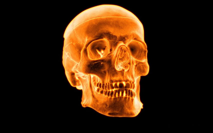 Creative 10 Cool 3d Flaming Skull With Resolution HD wallpaper