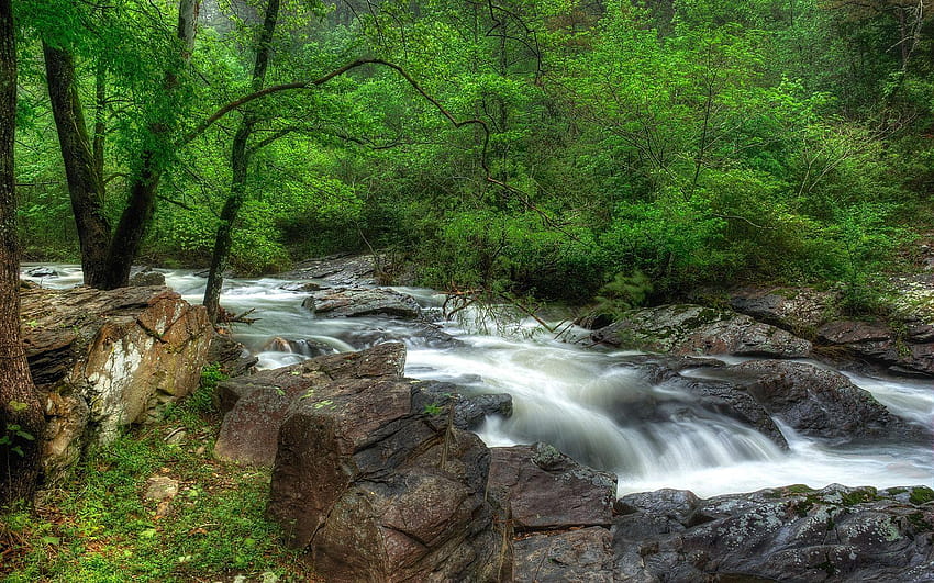 But if you're saying anywhere in Texas has beautiful scenery when, hot springs national park HD wallpaper