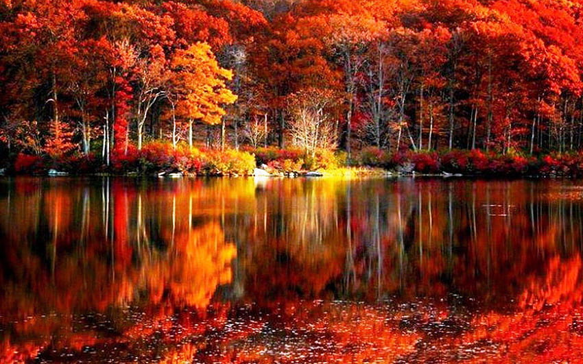 Spadek liści rzeka jesień czerwony jezioro refleksje Brzeg piękne, piękne jesienne drzewa Tapeta HD