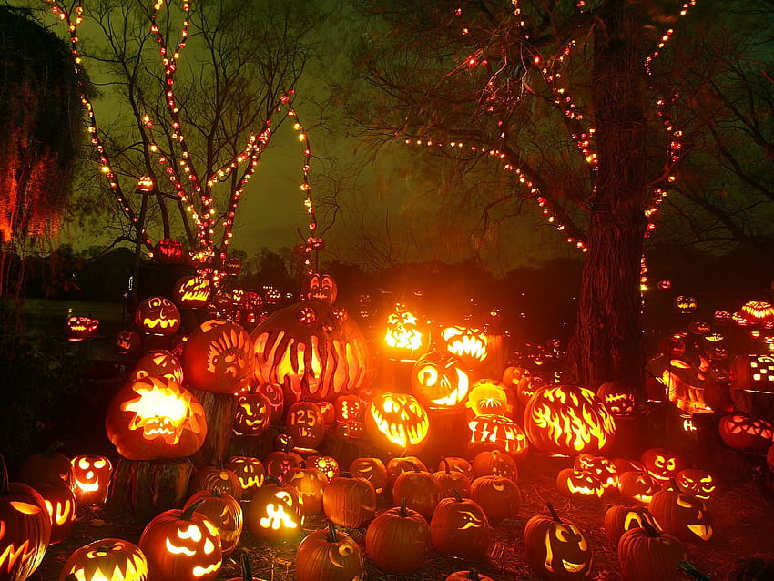 Autumn Halloween, autumn nights halloween HD wallpaper