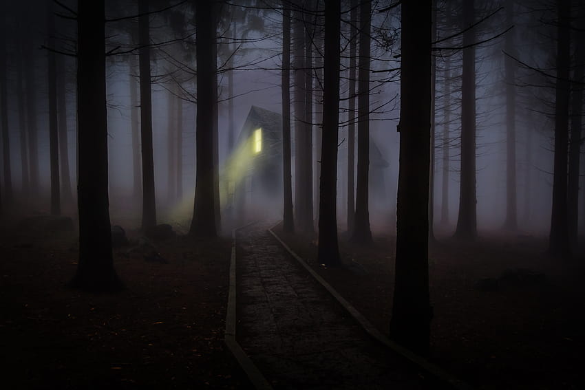 Spooky House in a Foggy Forest Ultra, bosque lluvioso y neblinoso fondo de pantalla
