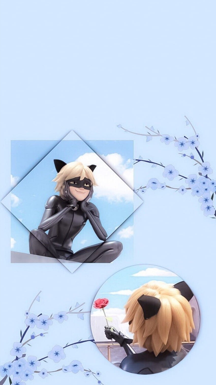 Miraculous ladybug funny by Frisky on A+ Sonic, aesthetic chat noir HD phone wallpaper