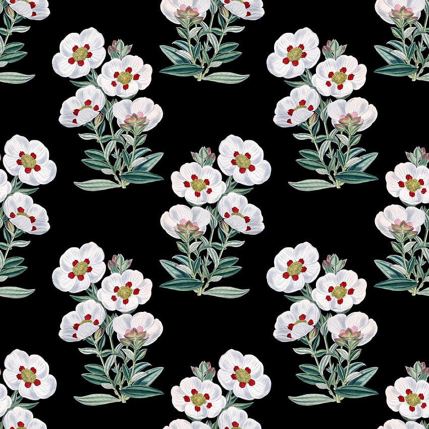 Floral Vintage Pattern Stock, черна флорална реколта HD тапет за телефон