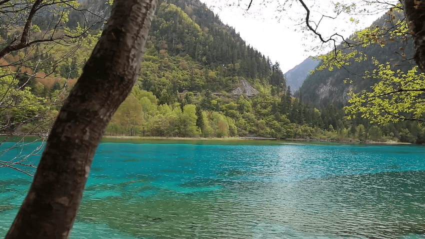 Spectacular blue water lake in jiuzhaigou Valley national park in HD wallpaper