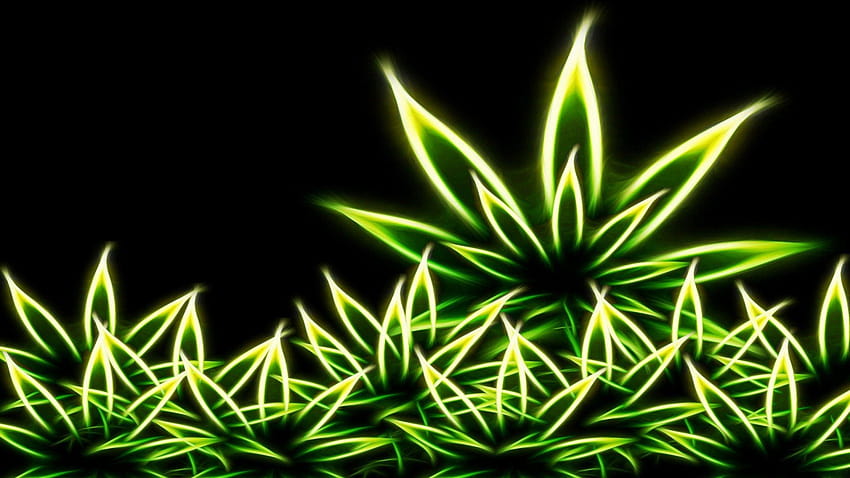 Marihuana-Hintergründe, trippiges Rasta-Unkraut HD-Hintergrundbild