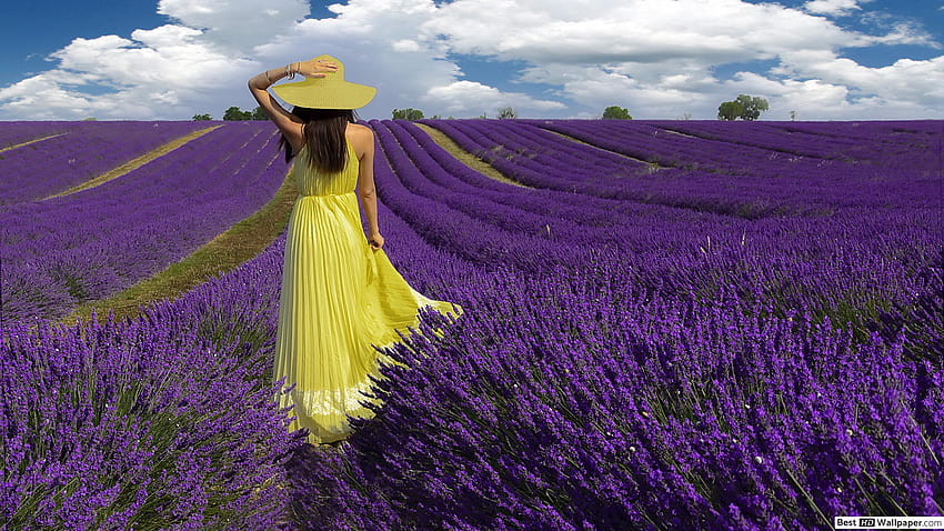 Girl in Lavender Field HD wallpaper | Pxfuel