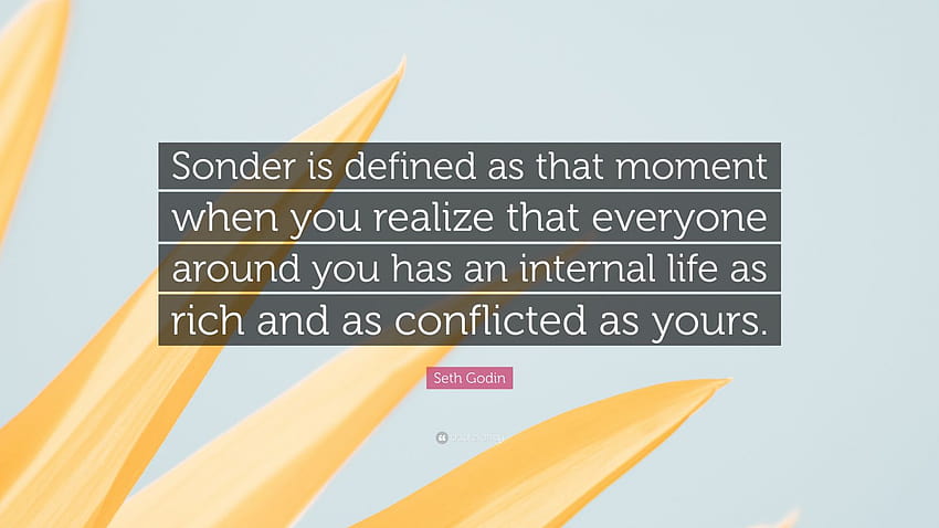 Seth Godin Quote: “Sonder is defined as that moment when you realize that everyone around you has an internal life as rich and as conflicte...” HD wallpaper