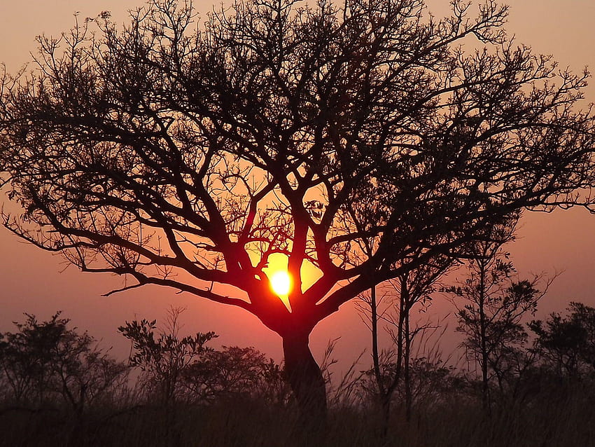 Niebo: Park Narodowy Krugera Wschód Słońca Kurger Zachód Słońca Wschody Słońca Południe, park narodowy Tapeta HD