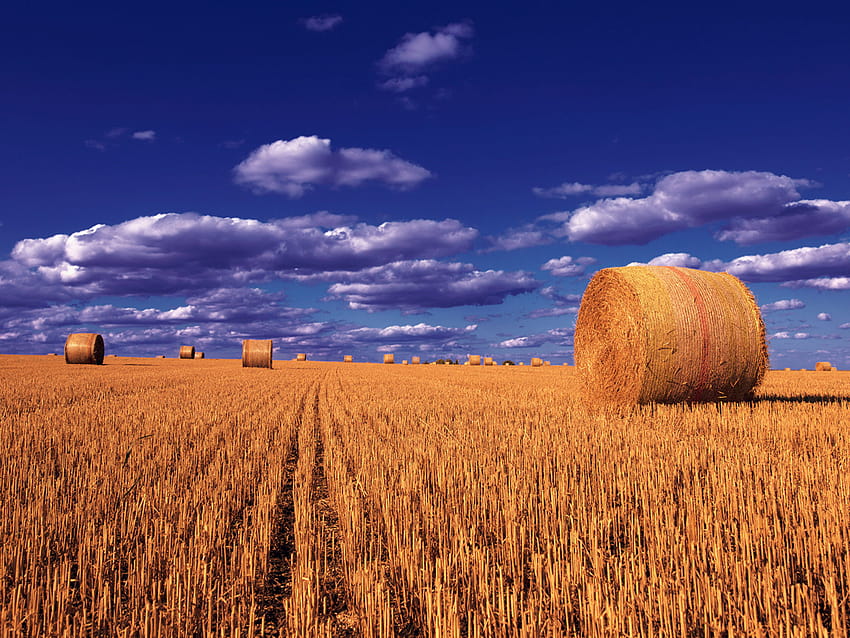 Straw Balls Wheat Field Sky So Clouds Montana Landscape For Laptop Mobile Phones And Tv 3840x2400 : 13 HD wallpaper