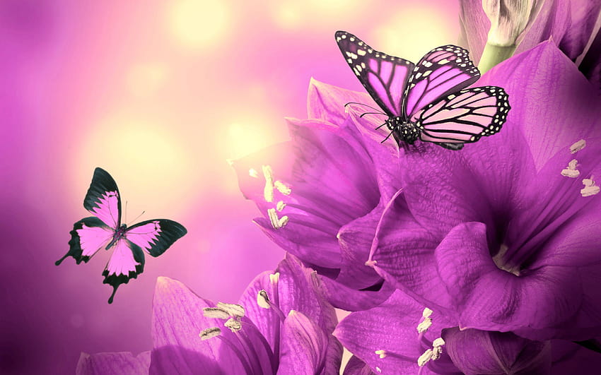 Mariposas Flores, rosas mariposa fondo de pantalla | Pxfuel