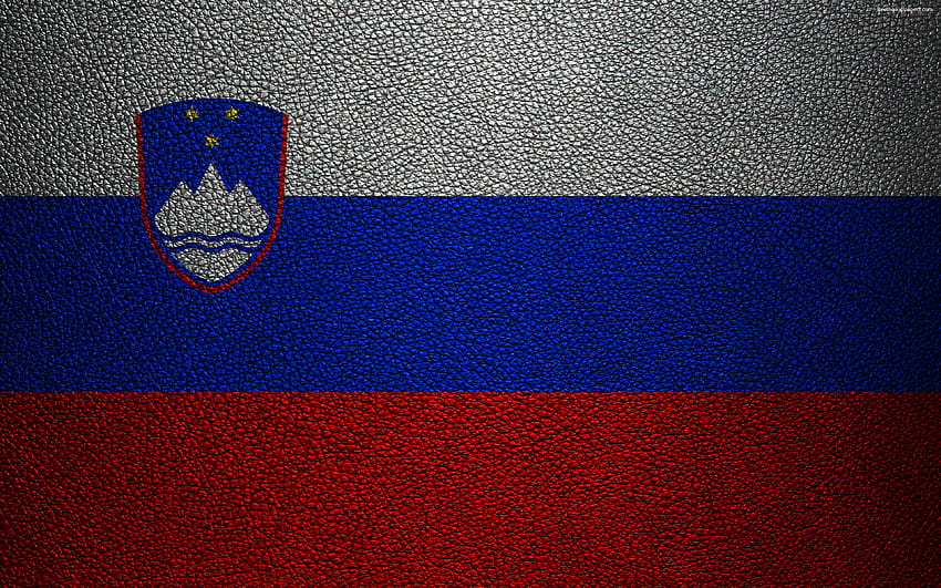 Flag of Slovenia, leather texture, Slovenian, slovenia flag HD wallpaper