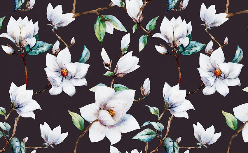 Magnolia Blossoms for Walls HD wallpaper