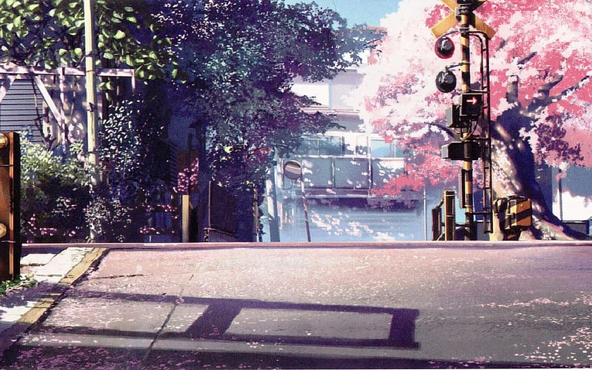 Cherry Blossoms Anime Scenery, cherry blossom anime aesthetic HD wallpaper