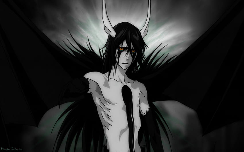 Ulquiorra he reminds me of hades, bleach ulquiorra background HD ...