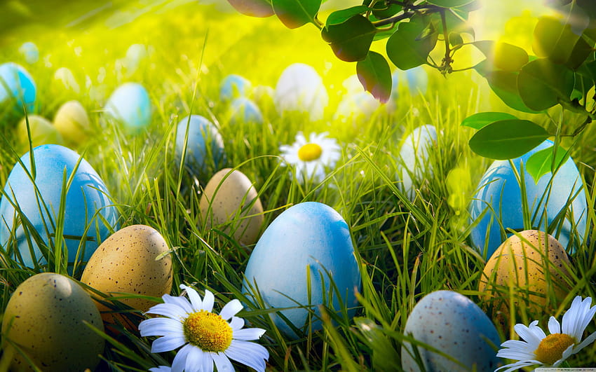 Best 4 Easter Egg Hunt on Hip, happy easter eggs HD wallpaper