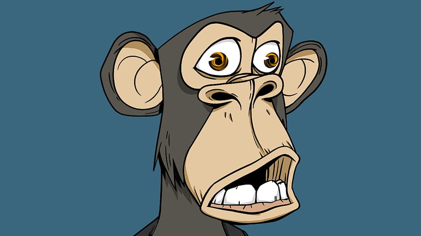 The NFT craze explained, nft monkey HD wallpaper
