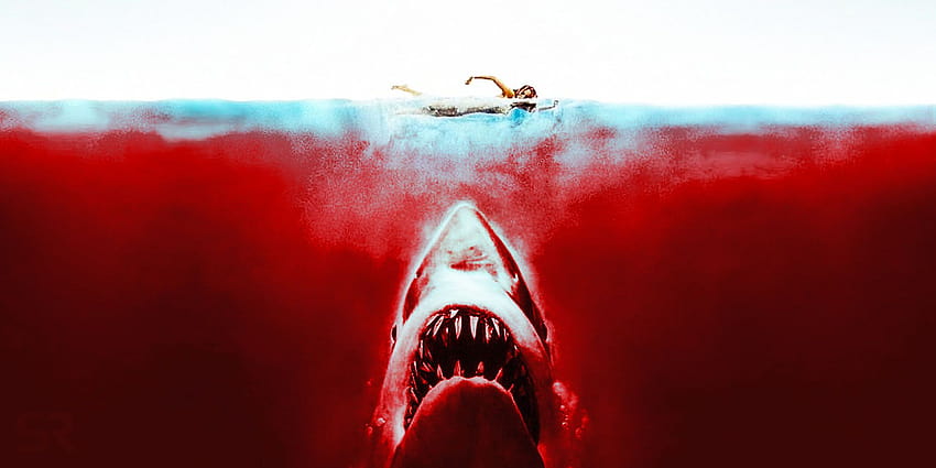 Is Steven Spielberg's Jaws A Horror Movie Or Not?, jaws movie HD wallpaper