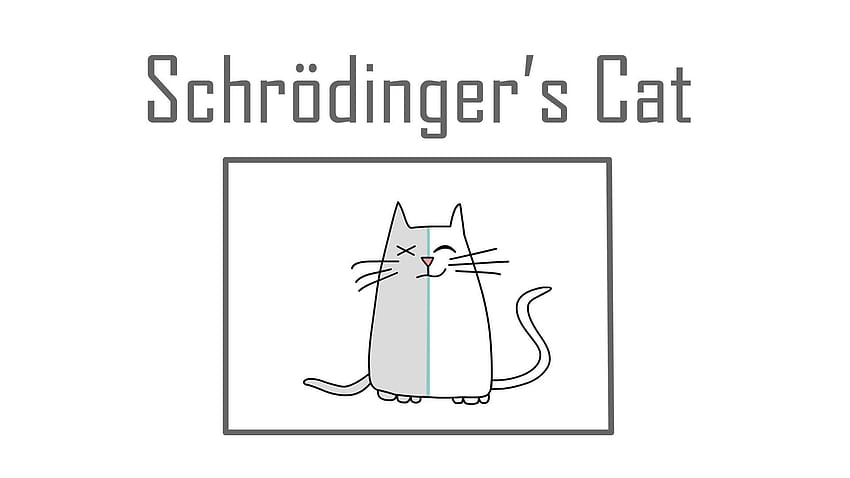 Schrödingers Katze, Erwin Schrödinger HD-Hintergrundbild | Pxfuel