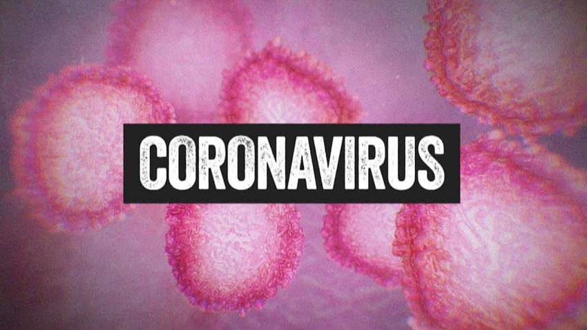 Kansas Department of Health and Environment releases helpful, corona virus HD wallpaper