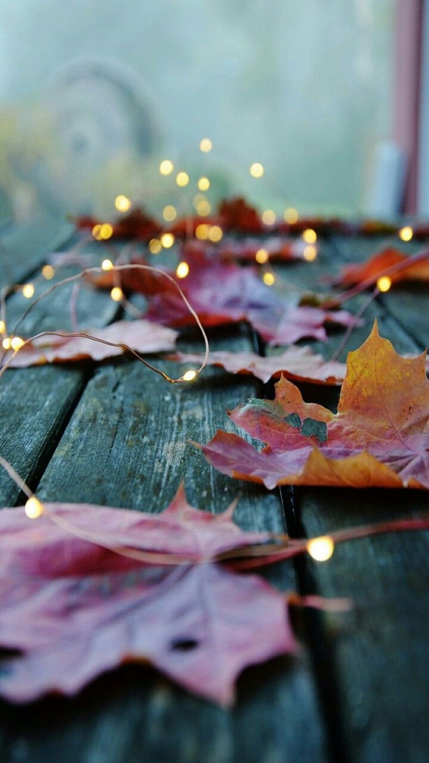 via Autumn Cozy. Fall at Home. Autumn, Fall, cozy autumn aesthetic HD phone wallpaper