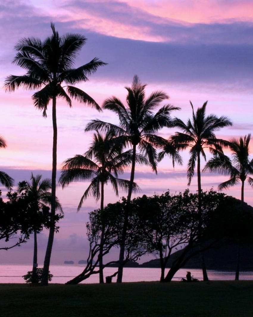 101 didascalie Instagram Hawaii che cattureranno quell'atmosfera ALOHA !, tramonto hawi Sfondo del telefono HD
