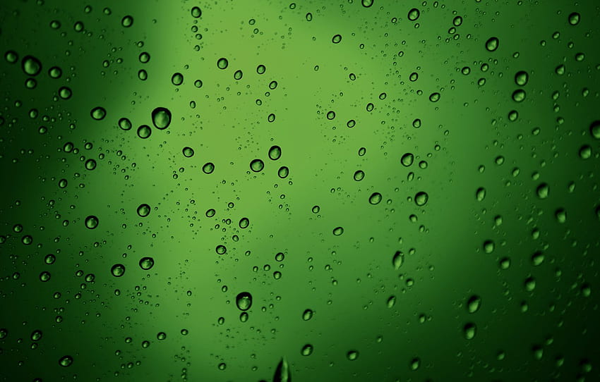 drops, macro, bubbles, texture, green, bubbles, water drops style, green texture , section текстуры, green bubbles HD wallpaper