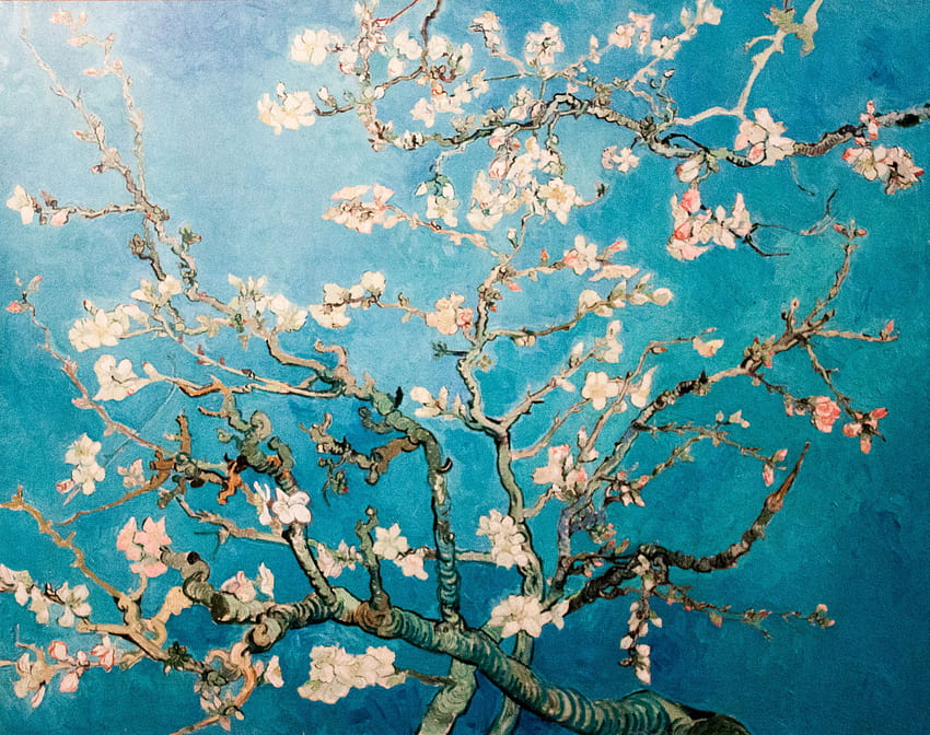 Файл: Цъфтящо бадемово дърво, tumblr на Ван Гог HD тапет