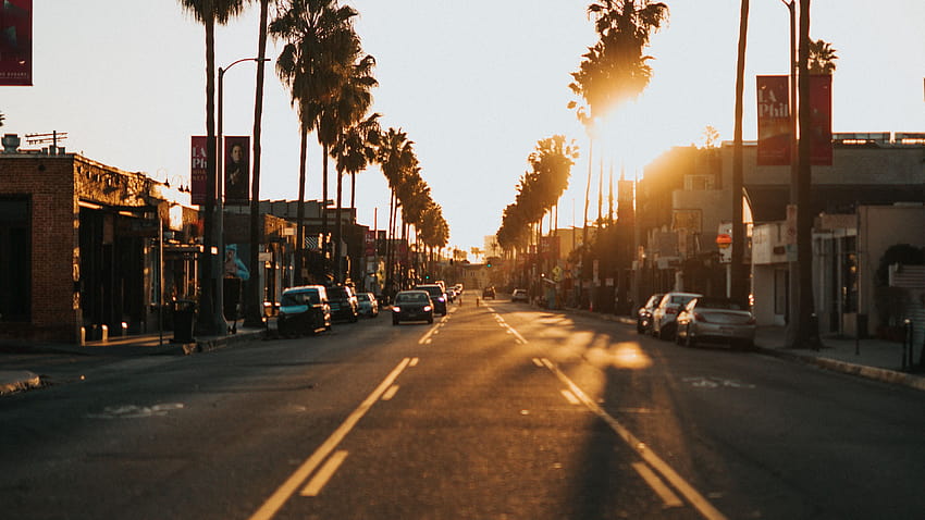 3840x2160 street, city, sunset, palm trees, cars u 16:9 backgrounds, city sunset HD wallpaper