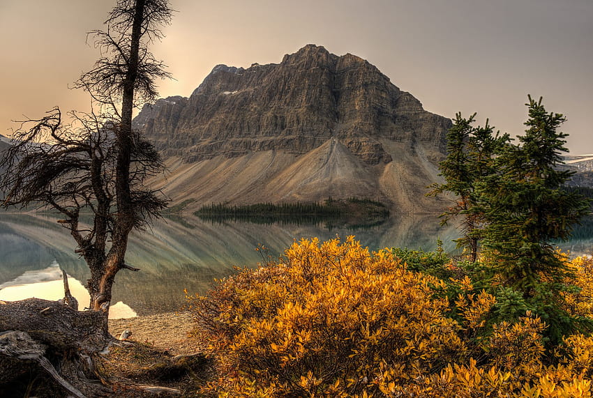 High quality of Bow Lake, of Alberta, Canada, bow lake alberta HD wallpaper
