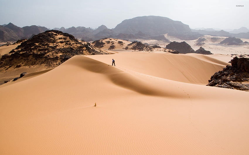 Мъж върви по пясъчната дюна, пустинни дюни вървят HD тапет