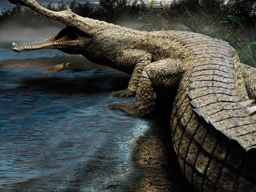 Sarcosuchus Facts, Size, Habitat, Diet, Fossils HD wallpaper