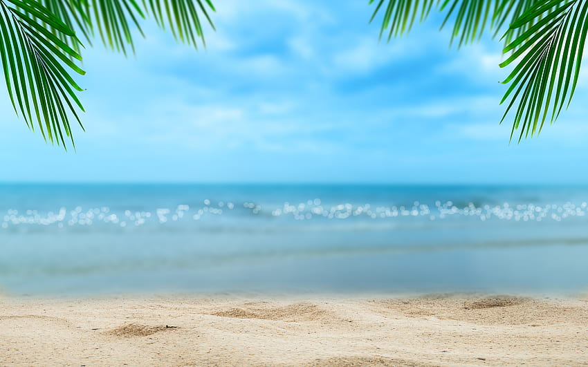 夏のビーチ, ビーチ, 夏に, 砂, 海, 夏, 空, 太陽, ヤシの木, 海岸, 海岸, 美しい, パラダイス, 熱帯, 暖かい, 3k, 6k in 5120x3200 解像度, 太陽の夏の海 高画質の壁紙
