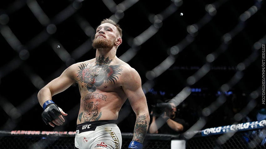 Conor McGregor ~ Box, UFC 242 HD-Hintergrundbild