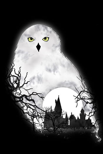 Harry Potter Hedwig Wallpapers  Top Free Harry Potter Hedwig Backgrounds   WallpaperAccess