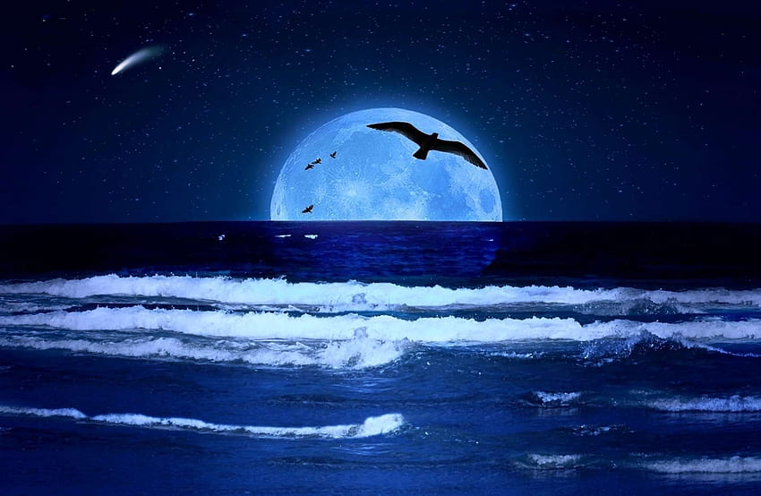 562987 birds, lua, mar, moon, nature, night, ocean, sea, sky, stars, night ocean HD wallpaper
