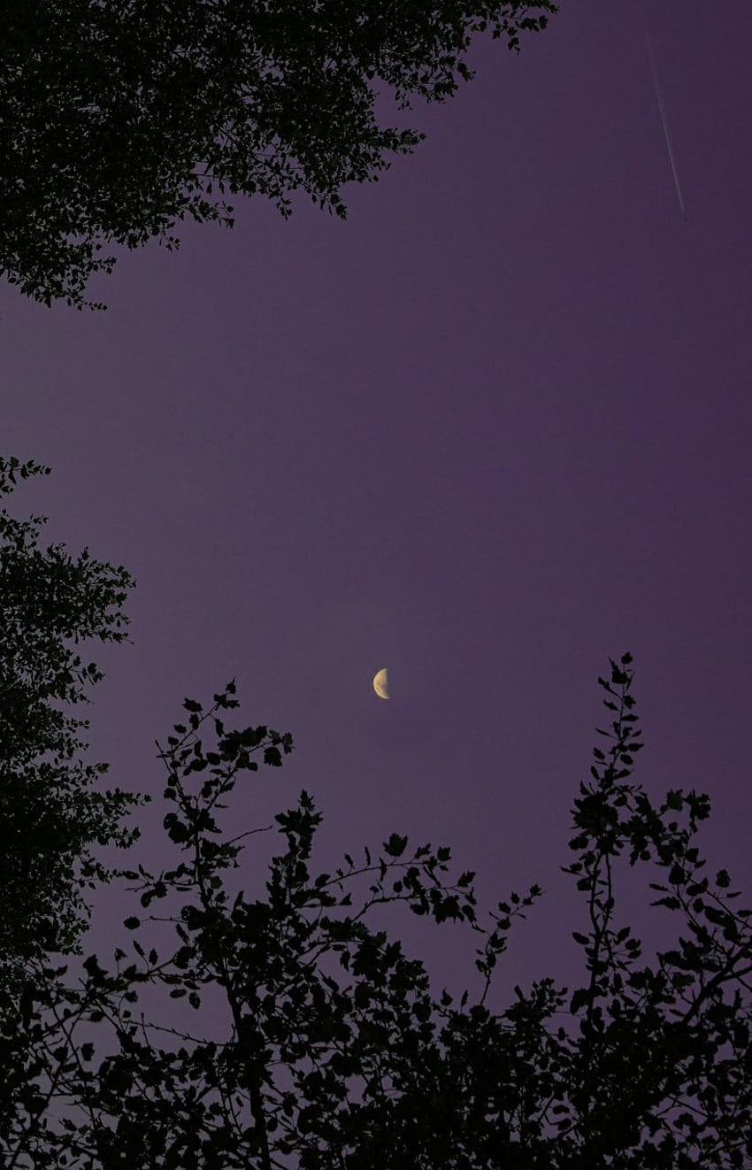 美しい月と紫の空、グランジの美的プレイステーション HD電話の壁紙