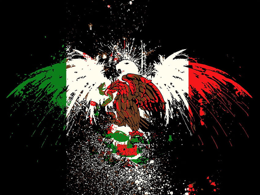 48 Mexican Flag Wallpaper Free  WallpaperSafari