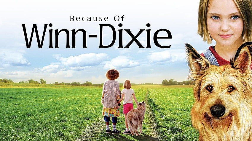 Because of winn dixie HD wallpaper | Pxfuel